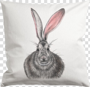 Pillow Henrietta Web 1000x Class  HD Png Download