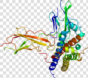 Protein Gh2 Pdb 1a22   Human Growth Hormone Receptor Structure  HD Png Download