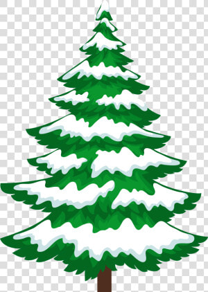 Christmas Tree Snow Clipart   Snowy Christmas Tree Clipart  HD Png Download