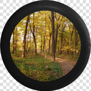 Autumn Trees Jeep Camper Spare Tire Cover 35 Inch R129  HD Png Download