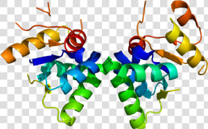 Protein Smg5 Pdb 2hwy  HD Png Download