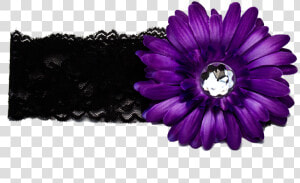 Purple Flower Images Free Download Png   Dark Purple Flower Png  Transparent Png