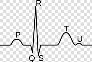 Heartbeat Monitor Png  Transparent Png