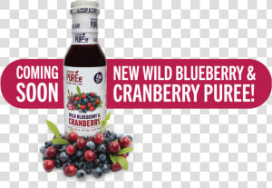 Cranberry Launch Graphic  HD Png Download