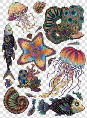 Hd Lapisl Zuli Creatures   Creative Arts  HD Png Download