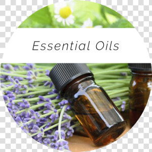 Nadia   Sidebar   Oils   Huiles Essentielles Conseil Aromatherapie  HD Png Download