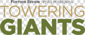 Towering Giants   Spokesman review  HD Png Download