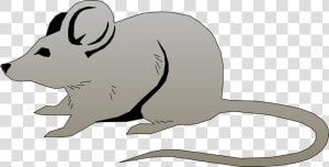 Art jerboa animal Figure beaver whiskers   Mouse Clip Art Png  Transparent Png