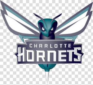 Charlotte Hornets New Logo  HD Png Download