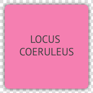 Locus Coeruleus  HD Png Download