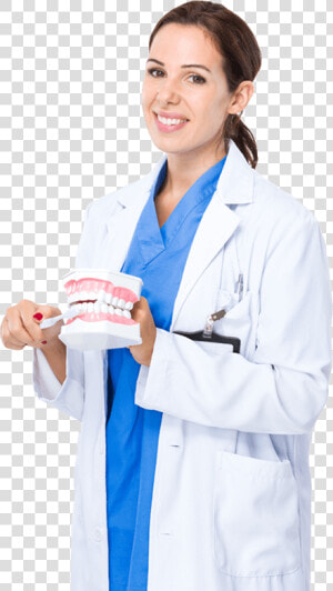 Comprehensive Care   Dental Assistant Transparent Background  HD Png Download