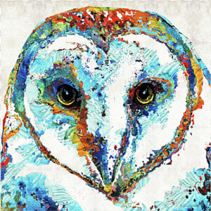 Colorful Barn Owl Art   Sharon Cummings  HD Png Download