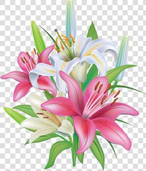 Pink Lilies Flores Pinterest   Transparent Lilies Clipart  HD Png Download