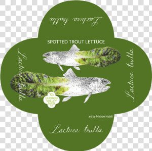 Spotted Trout Lettuce Quatrefoil   Trout  HD Png Download