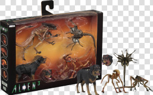 Neca Alien 3 Creature Pack  HD Png Download