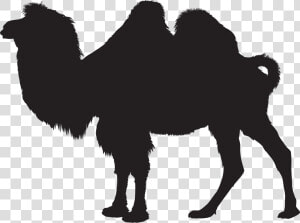 Camel Silhouette Png Clip Art Imageu200b Gallery Yopriceville   Bactrian Camel Silhouette  Transparent Png