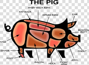 Bacon Clipart Micro Pig   Anatomy Of Pig Bbq  HD Png Download