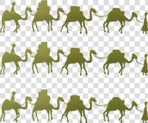 Camel One Belt One Road Initiative Horse Maritime Silk   Silk Road Png  Transparent Png