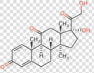 Budesonide Impurity H  HD Png Download