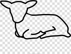 Transparent Lamb Lying Down Clipart   Sheep Lying Down Drawing  HD Png Download