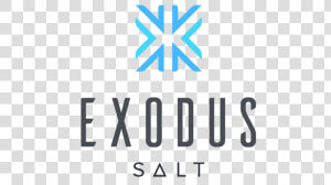 Exodus Salt Token Wallet   Exodus Wallet Logo  HD Png Download