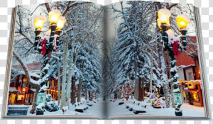 Aspen Style Srcset   cdn   Assouline Aspen Style  HD Png Download