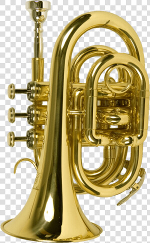 Trumpet Large   B Usa Trumpet  HD Png Download