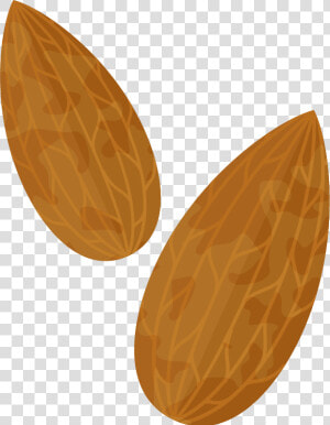 Almond Png Transparent Free   Png Almond Clipart  Png Download