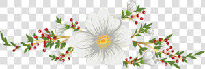 Transparent White Flower Clipart Png   Transparente Flores Blancas Png  Png Download