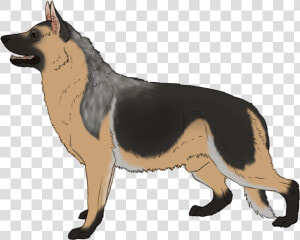 German Shepherd Kunming Wolfdog Dog Breed Clip Art  HD Png Download