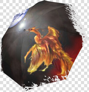 Transparent Pheonix Png   Phoenix Bird  Png Download