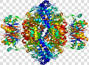 Protein Gchfr Pdb 1is7   Visual Arts  HD Png Download