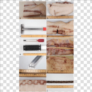 The Patterns Of Bruises On Pig Skin And Objects Clearly   Andouillette  HD Png Download