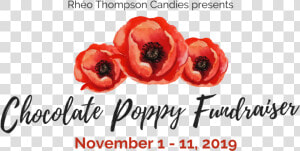 Chocolate Poppy Fundraiser  HD Png Download