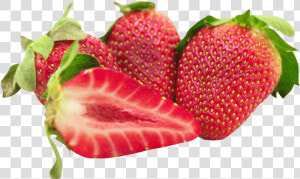 Strawberry   Png Transparent Strawberry Fruit Png  Png Download