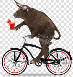 Clipart Bike Beach Cruiser   Bull Riding A Bicycle  HD Png Download