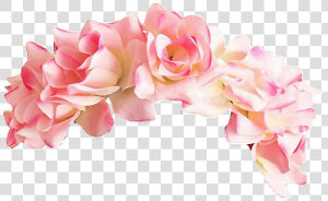  roses  corona  corona De Rosas   Pink Flower Crown Png  Transparent Png