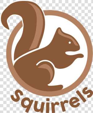 Squirrels Icon  HD Png Download