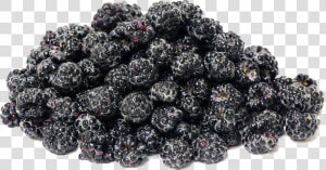 Black Raspberries Png Transparent Image   Black Raspberries Vs Mulberries  Png Download