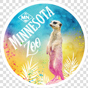 Meerkat Class Lazyload Lazyload Mirage Primary  HD Png Download