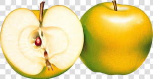 Manzana Amarilla Png  Transparent Png