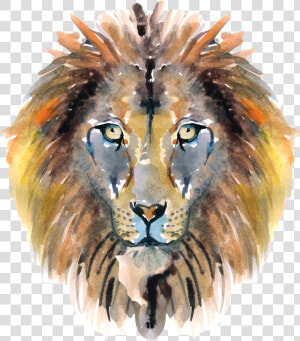 Narnia 18   Masai Lion  HD Png Download