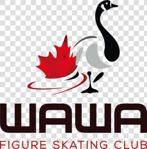 Wawa Figure Skating Club   Duck  HD Png Download