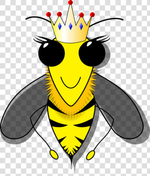 Cartoon Of Queen Bee   Clip Art Pictures Of Bees  HD Png Download