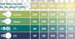 Many Lumens Do I Need   Light Bulb Brightness Guide  HD Png Download