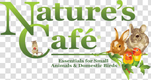 Nature S Cafe Cockatiel Buffet Bird Food  5 lb   Small Animals Logo Png  Transparent Png