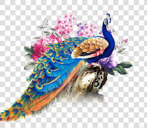 China Wind Peacock Print   Peacock Png  Transparent Png