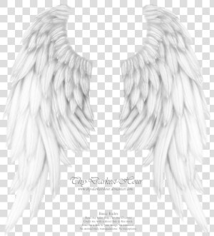 Realistic Angel Wings   Realistic Angel Wings Drawing  HD Png Download