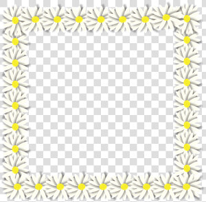 Spring  Daisy  Flower  Flora  Fauna  Border  Frame   Picture Frame  HD Png Download