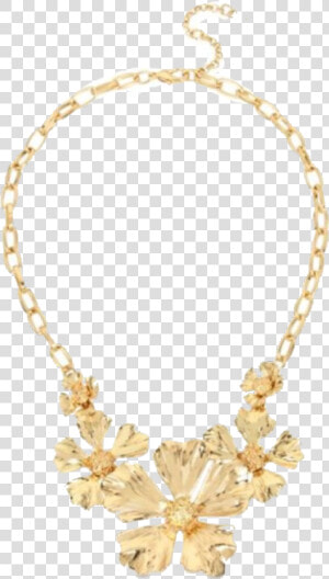  necklace  jewelry  accessories  freetoedit   Necklace  HD Png Download